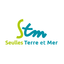 STM